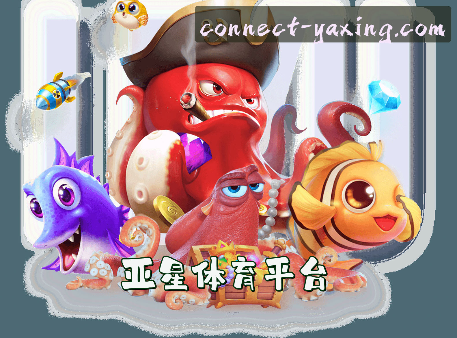 关于我们关于我们