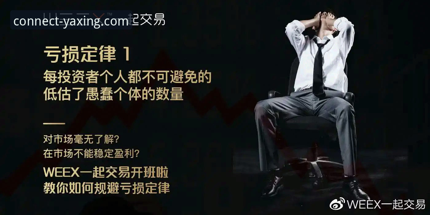 亚星体育平台多端体验最新进展：深度对比揭示统一生态构建趋势